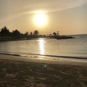 Meet your Posher, Ann g